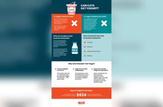 Can Cats Eat Greek Yogurt