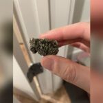 Cat Urine Crystals Treatment