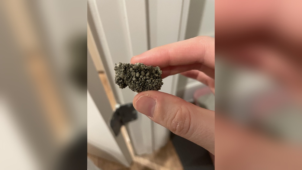 Cat Urine Crystals Treatment