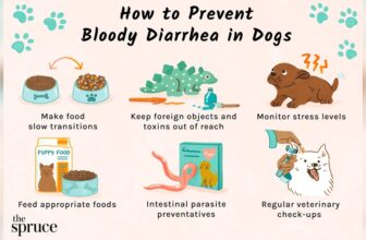 Diarrhea And Blood in Stool in Dogs: Causes, Symptoms & Treatment