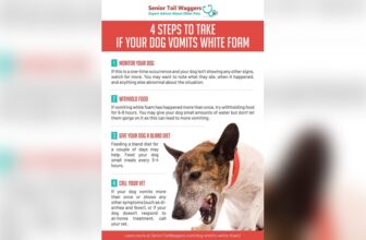 Dog Vomiting White Foam Treatment at Home
