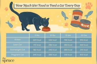 How Much Wet Cat Food Per Day