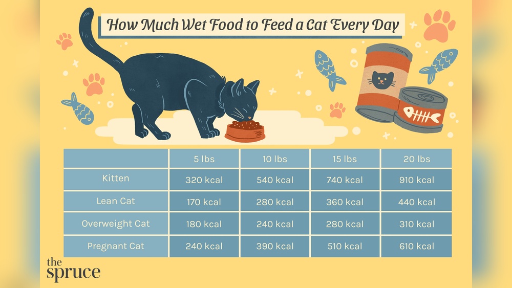 How Much Wet Cat Food Per Day