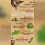 Is Peppermint Safe for Cats