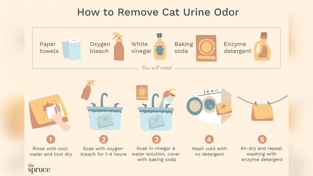 Old Cat Urine Odor Removal Home Remedy