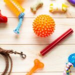 Safe Dog Toys for Aggressive Chewers
