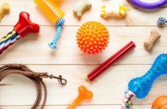 Safe Dog Toys for Aggressive Chewers