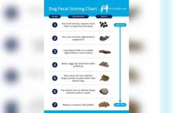 What Causes Dogs to Have Diarrhea