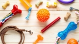 Safe Dog Toys for Aggressive Chewers